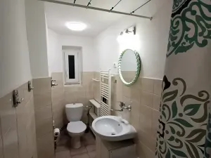 Pronájem bytu 1+1, Praha - Holyně, U vápenice, 40 m2