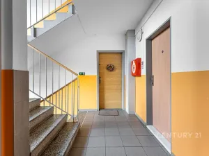 Pronájem bytu 3+1, Praha - Hlubočepy, Pražského, 76 m2