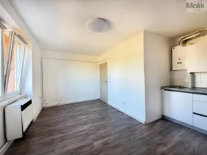 Prodej bytu 2+kk, Osek, Smetanova, 35 m2