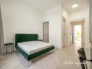 Pronájem bytu 2+kk, Praha - Vinohrady, Mánesova, 63 m2