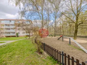 Prodej bytu 2+1, Ostrava, Patrice Lumumby, 53 m2