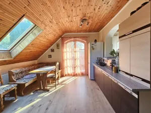 Prodej vícegeneračního domu, Brno - Černovice, Vinohradská, 350 m2