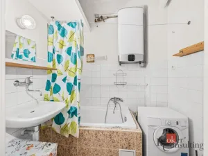 Pronájem bytu 1+1, Praha - Braník, Branická, 46 m2