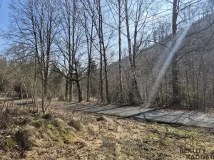 Prodej pozemku pro bydlení, Košařiska, 2189 m2