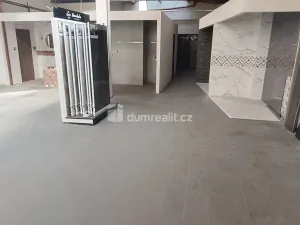 Prodej výrobních prostor, Děčín - Děčín VI-Letná, Dělnická, 1300 m2