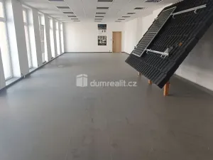 Prodej výrobních prostor, Děčín - Děčín VI-Letná, Dělnická, 1300 m2