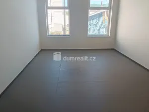 Prodej výrobních prostor, Děčín - Děčín VI-Letná, Dělnická, 1300 m2