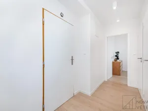 Pronájem bytu 3+kk, Praha - Žižkov, Buková, 53 m2
