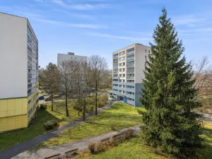 Pronájem bytu 3+kk, Praha - Žižkov, Buková, 53 m2