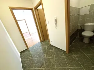 Pronájem bytu 2+kk, Plzeň - Skvrňany, Malesická, 50 m2