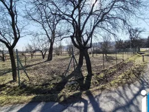 Prodej zahrady, Ptení, 967 m2