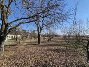 Prodej zahrady, Ptení, 967 m2