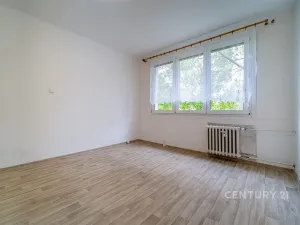 Pronájem bytu 1+kk, České Budějovice - České Budějovice 3, Plzeňská, 21 m2