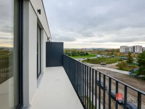 Pronájem bytu 2+kk, Plzeň - Jižní Předměstí, Železná, 73 m2