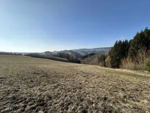 Prodej lesa, Plavy, 32050 m2