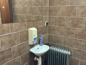 Prodej komerční nemovitosti, Kralovice, Markova tř., 600 m2