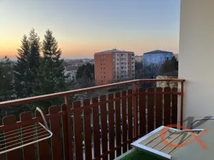 Pronájem bytu 1+1, Prostějov, Družstevní, 39 m2