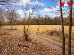 Prodej louky, Křečovice - Vlkonice, 68525 m2