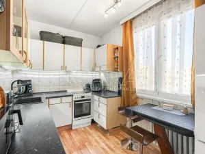 Prodej bytu 3+1, Týn nad Vltavou, Veselská, 79 m2