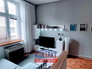 Pronájem bytu 1+1, České Budějovice, Resslova, 47 m2