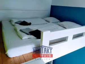 Pronájem bytu 1+1, České Budějovice, Resslova, 47 m2