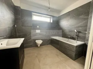 Pronájem rodinného domu, Mladá Boleslav - Debř, Láskov, 166 m2