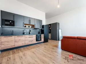 Prodej bytu 2+kk, Ostrava - Přívoz, Palackého, 51 m2