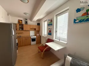 Pronájem bytu 1+kk, Most, Radniční, 32 m2