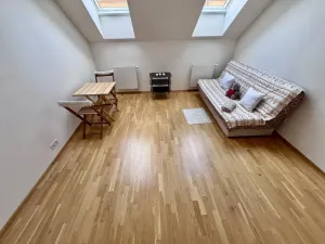 Pronájem bytu 1+kk, Praha - Nové Město, Tyršova, 24 m2