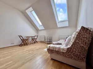 Pronájem bytu 1+kk, Praha - Nové Město, Tyršova, 24 m2