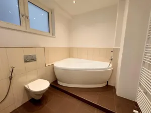 Pronájem bytu 4+kk, Ostrava - Hrabůvka, Krakovská, 100 m2