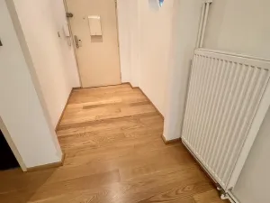 Pronájem bytu 4+kk, Ostrava - Hrabůvka, Krakovská, 100 m2