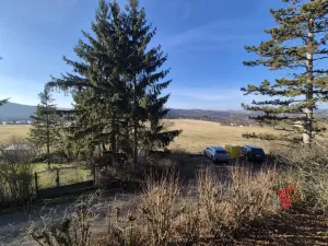 Prodej chaty, Hradištko, K Budákovu, 35 m2