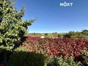 Prodej rodinného domu, Dražice, 180 m2