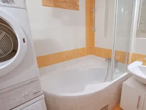 Prodej bytu 2+1, Brno, Rybářská, 72 m2