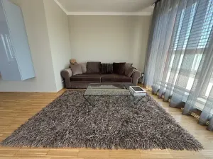 Pronájem bytu 2+kk, Praha - Karlín, Rohanské nábřeží, 80 m2