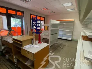 Prodej obchodního prostoru, Zborovy, 233 m2