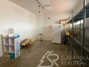Prodej obchodního prostoru, Zborovy, 233 m2