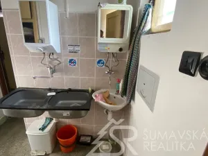 Prodej obchodního prostoru, Zborovy, 233 m2