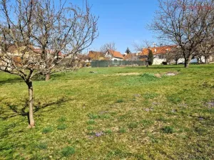 Prodej pozemku pro bydlení, Uherský Brod, Svat. Čecha, 1755 m2