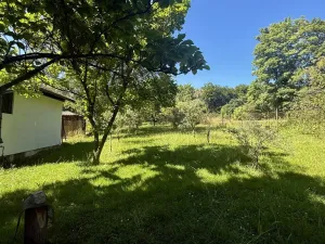 Prodej zahrady, Orlová, Dr. M. Tyrše, 1537 m2