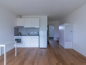 Pronájem bytu 1+kk, Zdiby, 31 m2