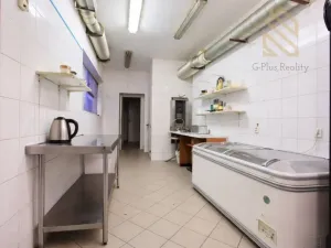 Pronájem restaurace, Litoměřice - Litoměřice-Město, 5. května, 120 m2