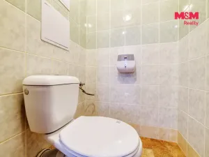 Prodej bytu 2+1, Bukovany, 51 m2