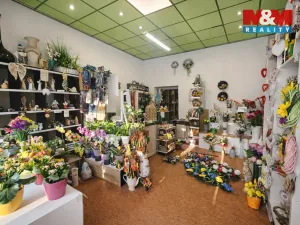 Pronájem obchodního prostoru, Ostrava - Moravská Ostrava, Nádražní, 35 m2