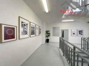 Pronájem kanceláře, Jaroměř, Jezbinská, 45 m2