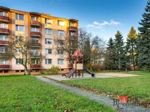 Pronájem bytu 1+1, Jihlava, Březinova, 31 m2