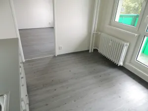 Pronájem bytu 1+1, Ostrava - Mariánské Hory, Gen. Hrušky, 38 m2