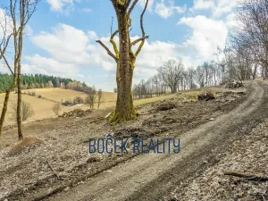 Prodej komerčního pozemku, Žacléř, 34107 m2