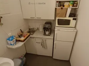 Pronájem obchodního prostoru, České Budějovice - České Budějovice 2, Větrná, 53 m2